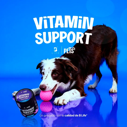 B LIFE PETS VITAMIN SUPPORT | 350g