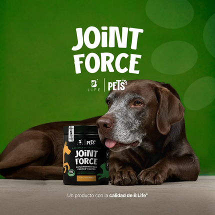 B LIFE JOINT FORCE | 350G