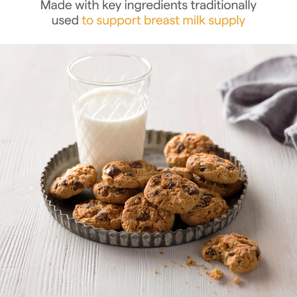 Munchkin Milkmakers | Galletas de avena para lactantes sabor chispas de chocolate | 10 paquetes de 42.5 Gramos