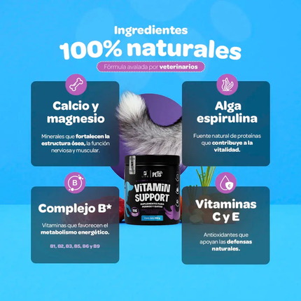 B LIFE PETS VITAMIN SUPPORT | 350g