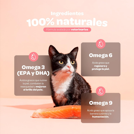B LIFE PETS OMEGA BALANCE | 540 ml