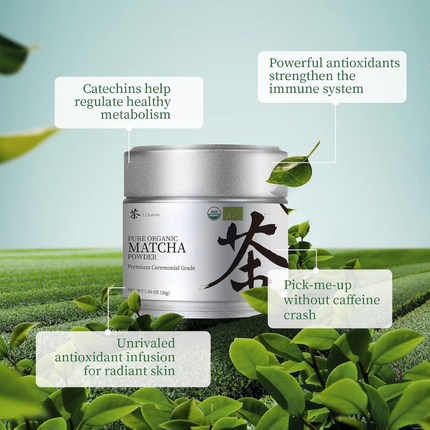 Chaism | Matcha Orgánico en Polvo de Grado Ceremonial | 30 gramos