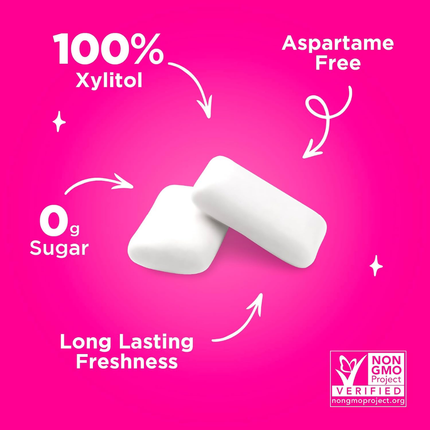PUR GUM | Chicles Sin Azúcar, Sin Aspartame | 55 piezas