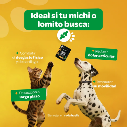 B LIFE JOINT FORCE | 350G