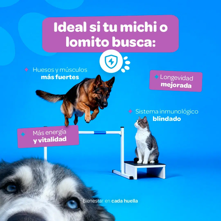 B LIFE PETS VITAMIN SUPPORT | 350g