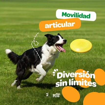 B LIFE JOINT FORCE | 350G